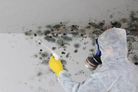 Best HVAC Mold Inspection and Cleaning in Riverview, SC